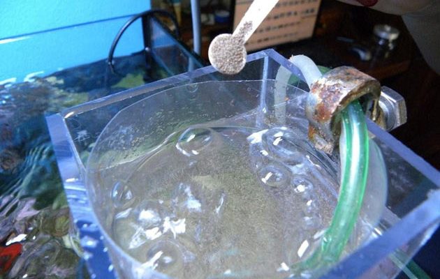 Dosatore automatico di naupli