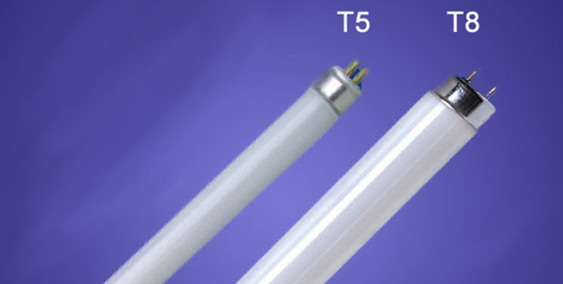 Tubo neon T5 e T8 Neon T5 e T8 a confronto