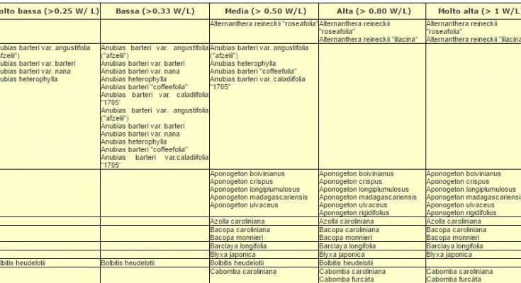 Tabella esposizione luce piante