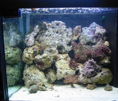 acquario di Giancarlo Mazarese