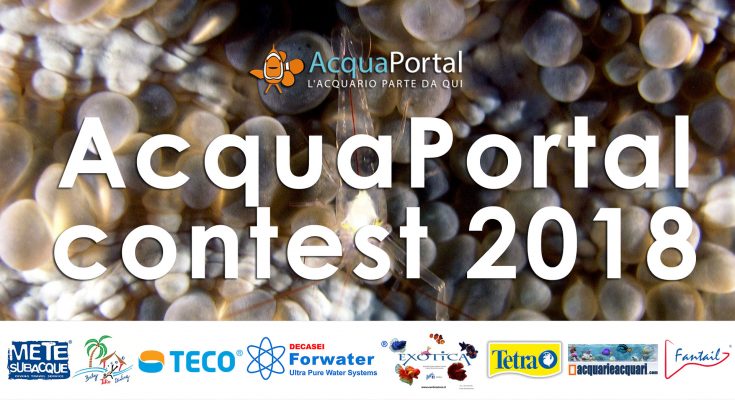 acquaportal contest