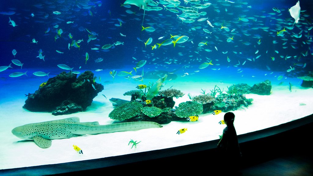 Tokyo Aquarium