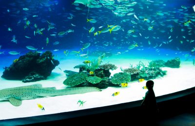 Tokyo Aquarium
