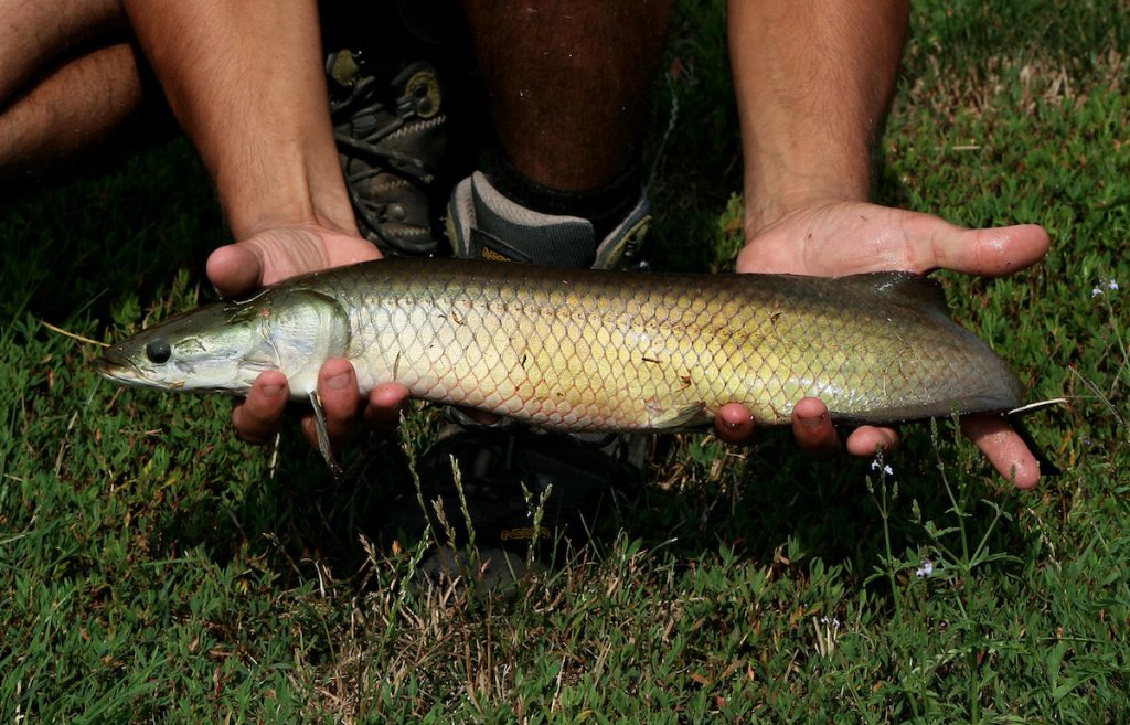 River Monsters Italia