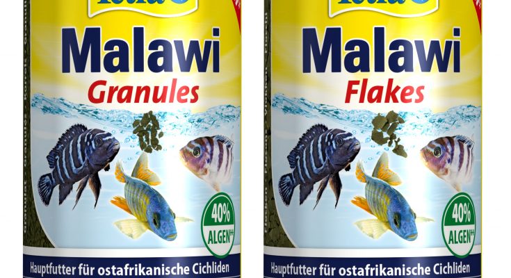 tetra malawi