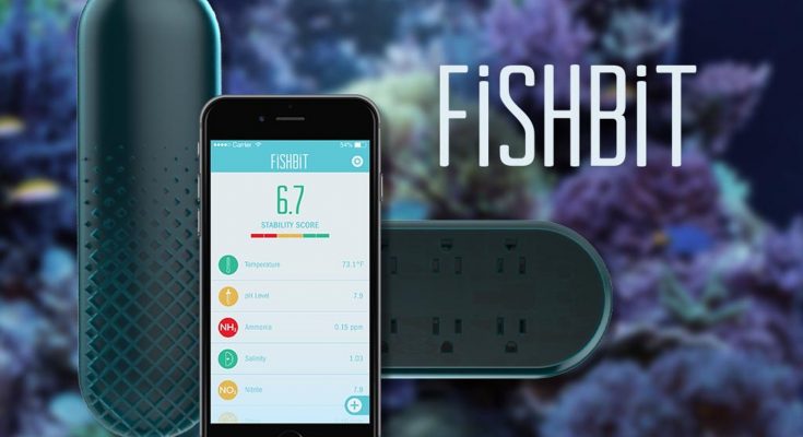 fishbit