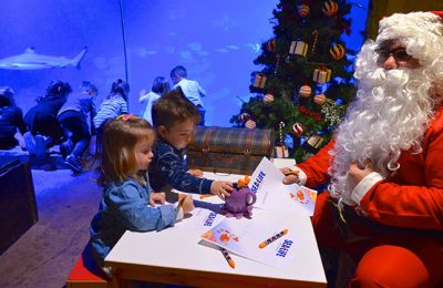 Natale Sea Life Aquarium Jesolo