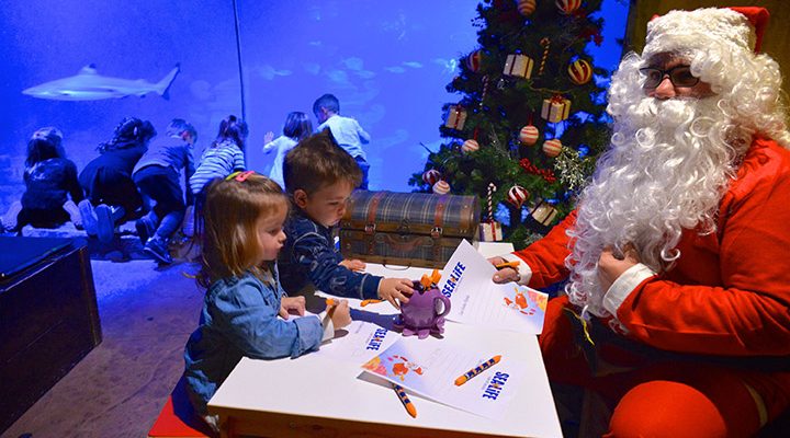 Natale Sea Life Aquarium Jesolo