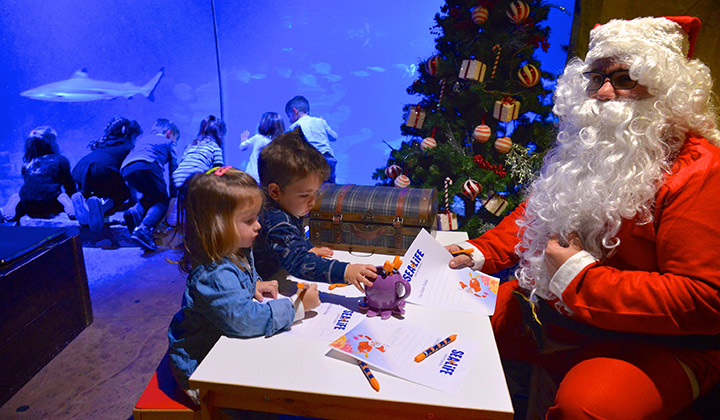 Natale Sea Life Aquarium Jesolo