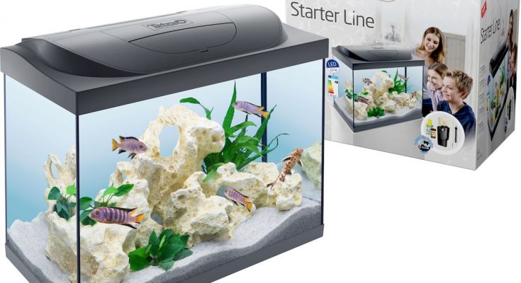 Starter Line Aquarium