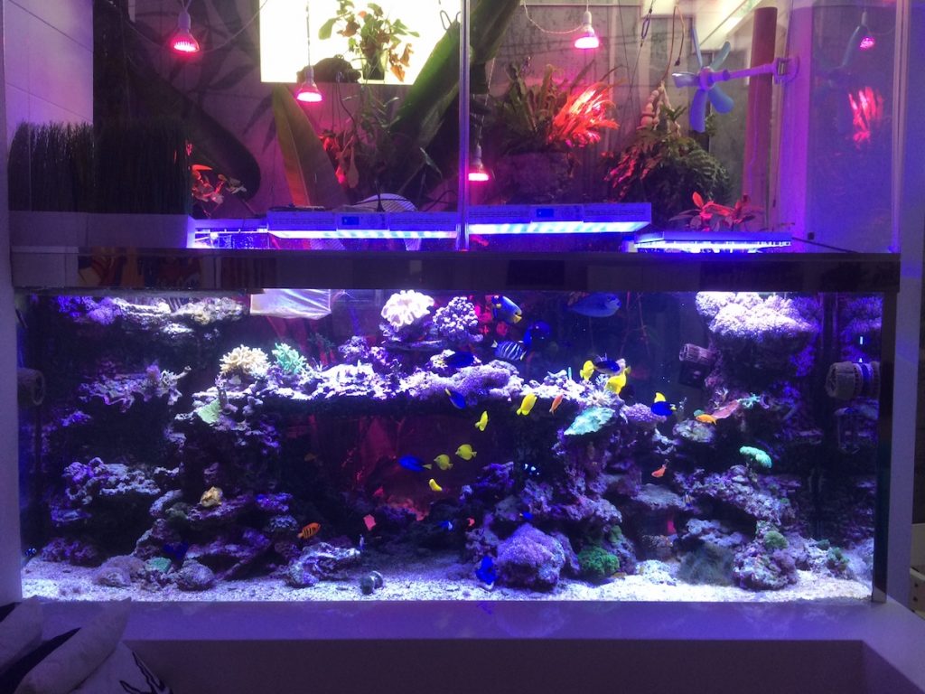 acquario da 2.600 litri 12