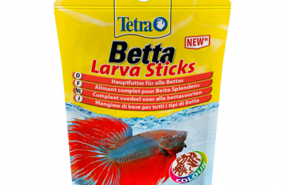 betta larva sticks