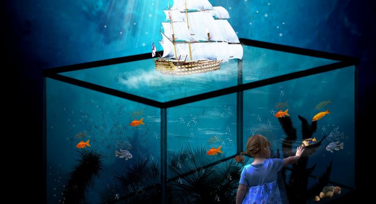 primo acquario