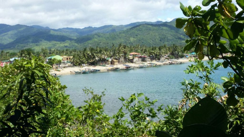 balay tyco 1