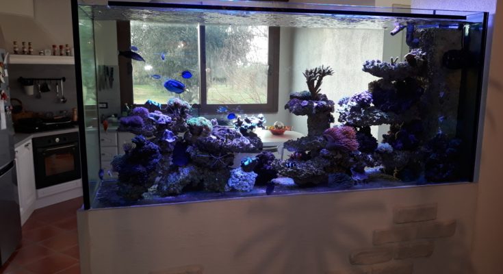 domus aquae