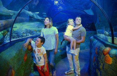 Gardaland SEA LIFE Aquarium