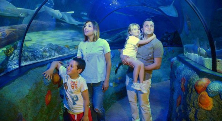 Gardaland SEA LIFE Aquarium