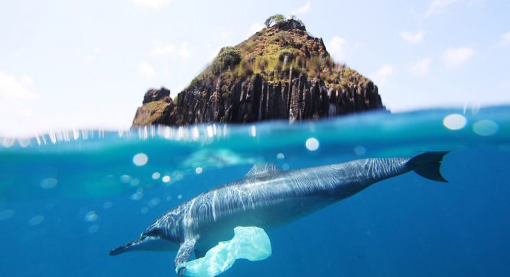 Giornata Mondiale degli Oceani