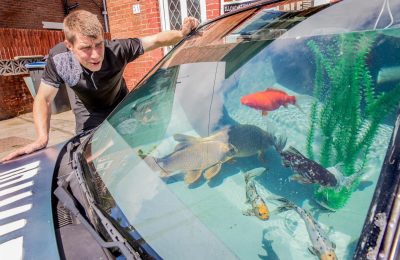 acquario in auto