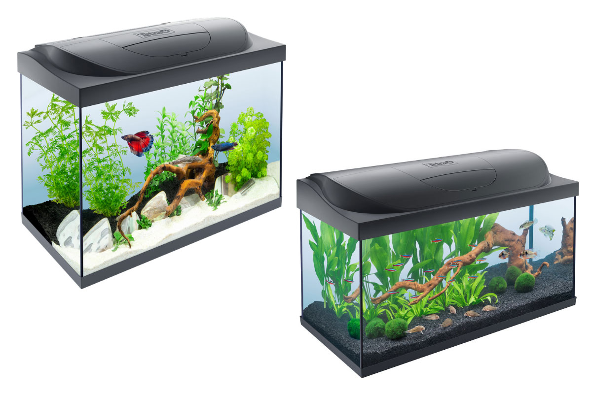Plafoniera Led Fai Da Te Acquaportal : Tetra starter line led da l e acquaportal