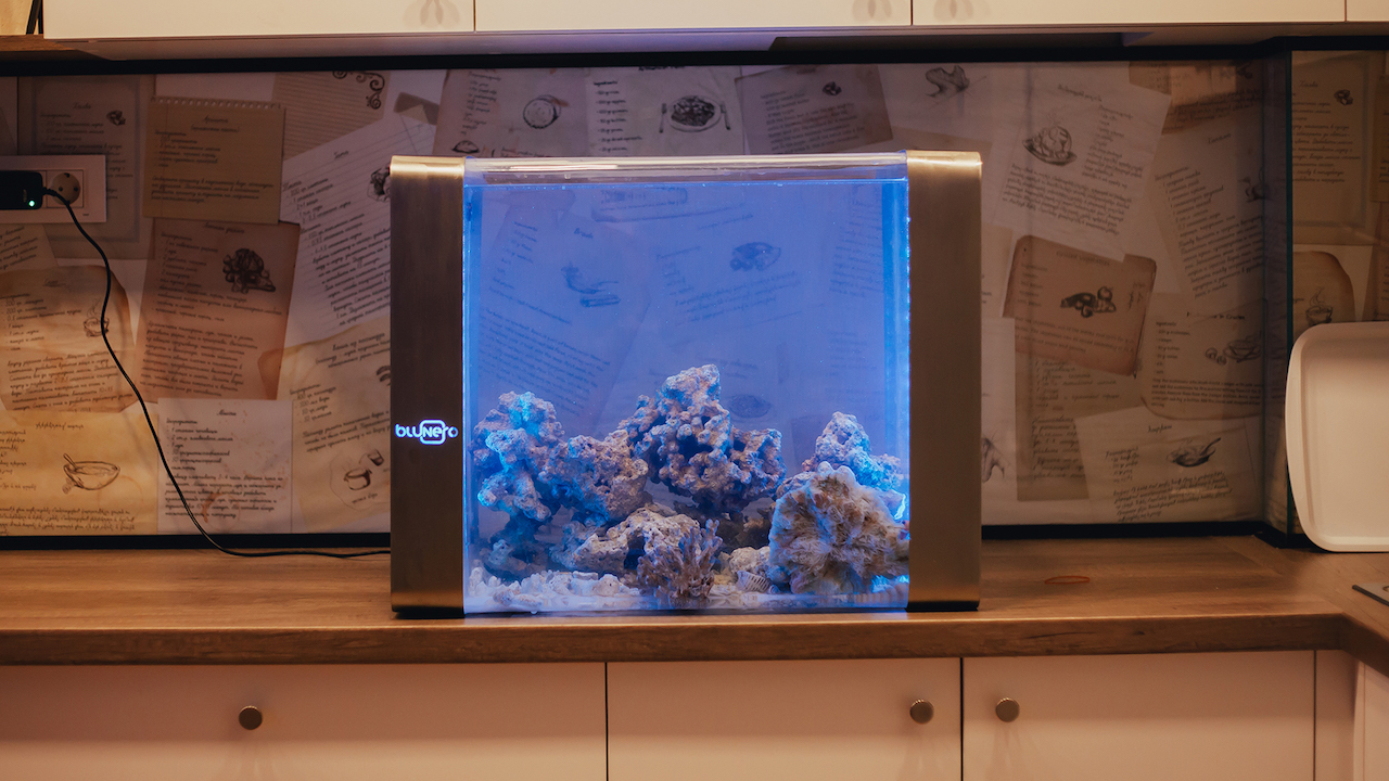 acquario smart bluenero