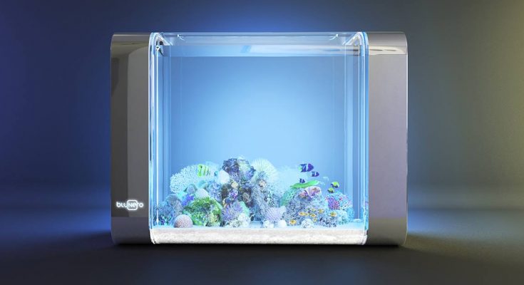 acquario smart bluenero