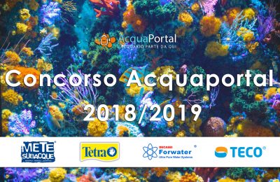 concorso acquaportal 2018 2019