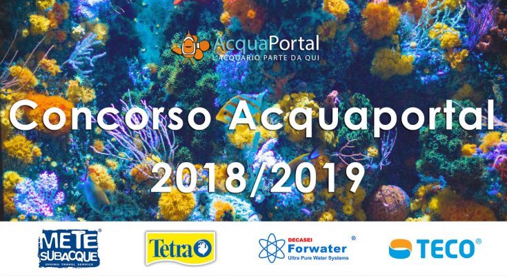 concorso acquaportal 2018 2019