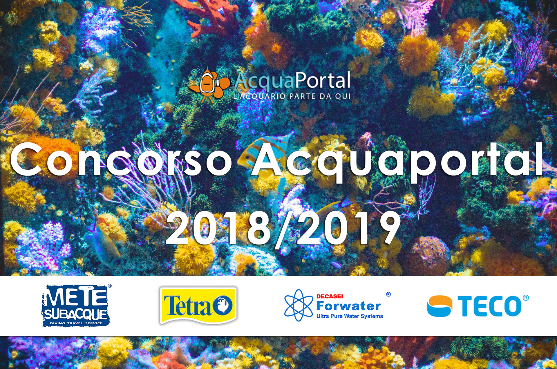 Plafoniera Led Fai Da Te Acquaportal : L importanza della luce in acquario acquaportal