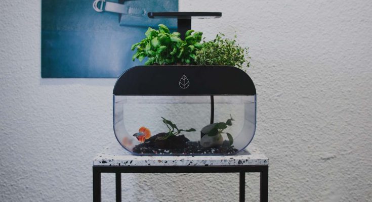 EcoGarden