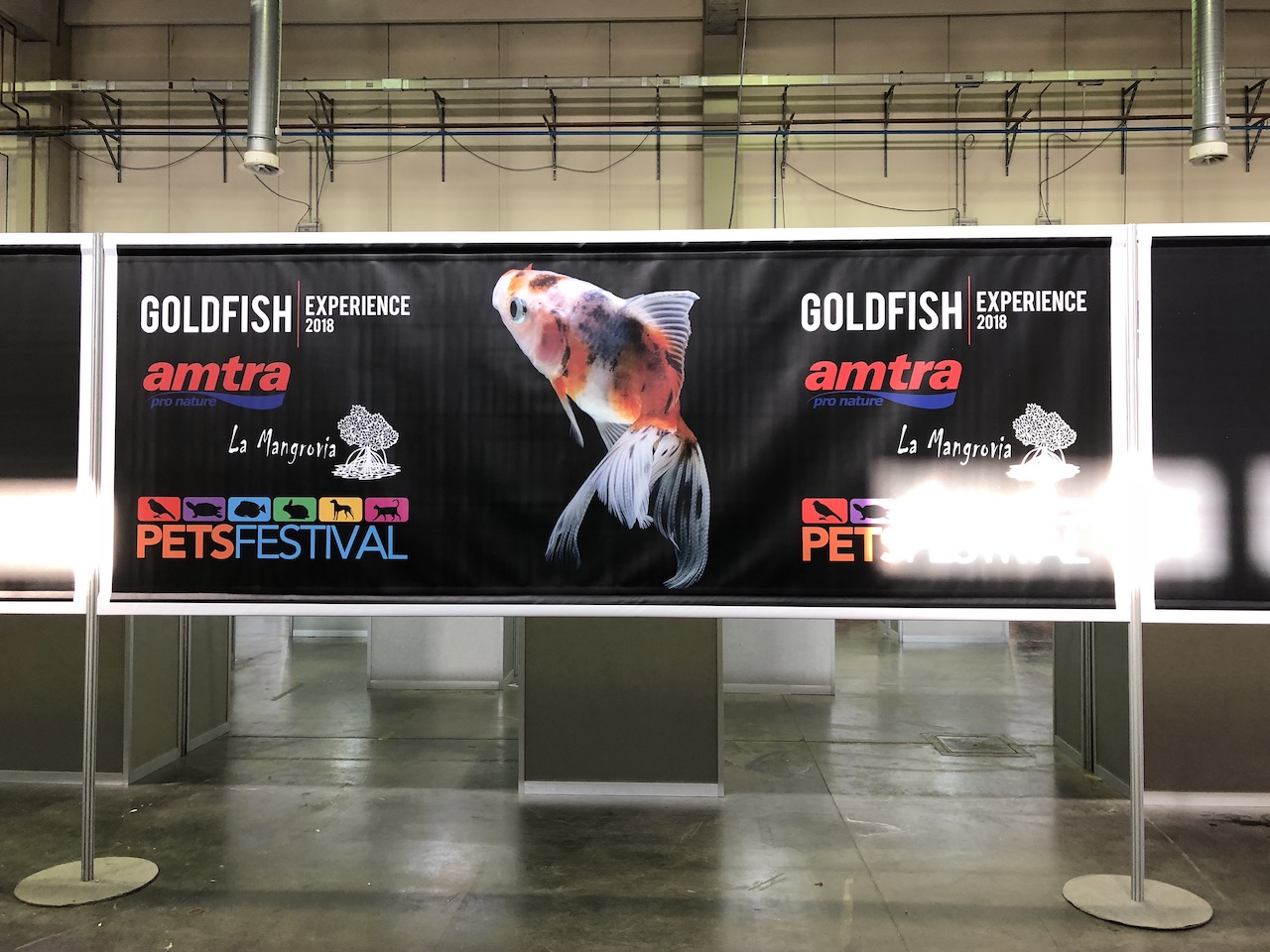 PetsFestival 2018 Goldfish Experience