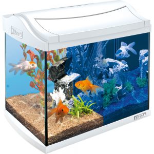 Tetra Italia AquaArt LED