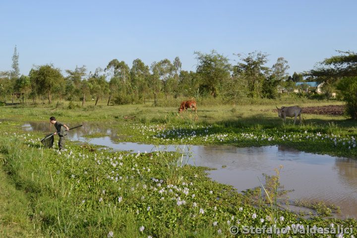 088-pools-on-road-side-near-ahero-giuseppe-collecting