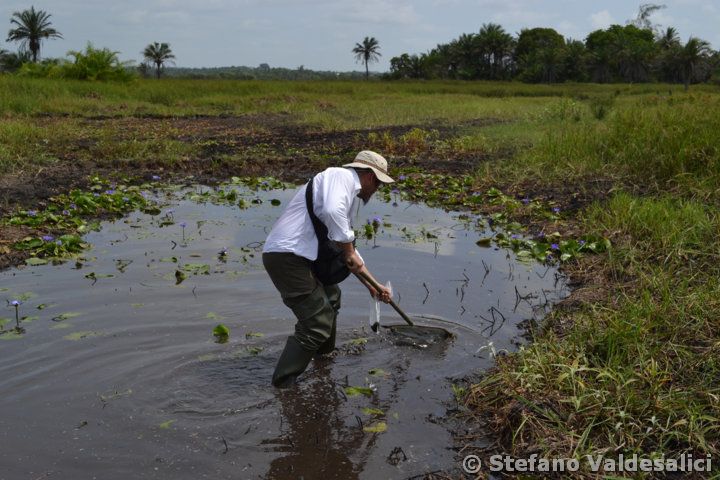 629-stefano-collecting-near-ramisi