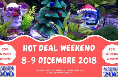 Hot-deal-weekend