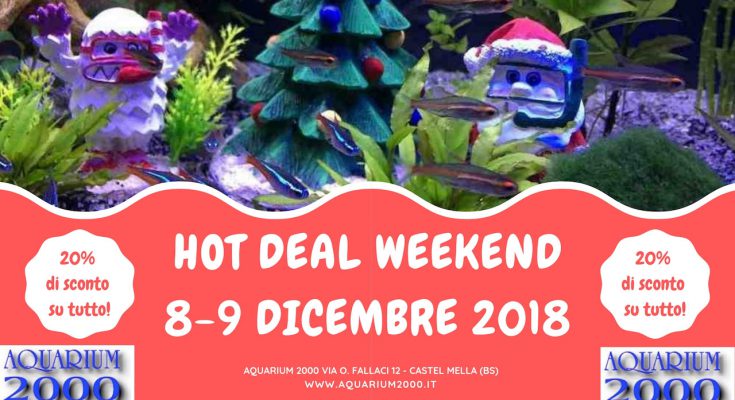 Hot-deal-weekend