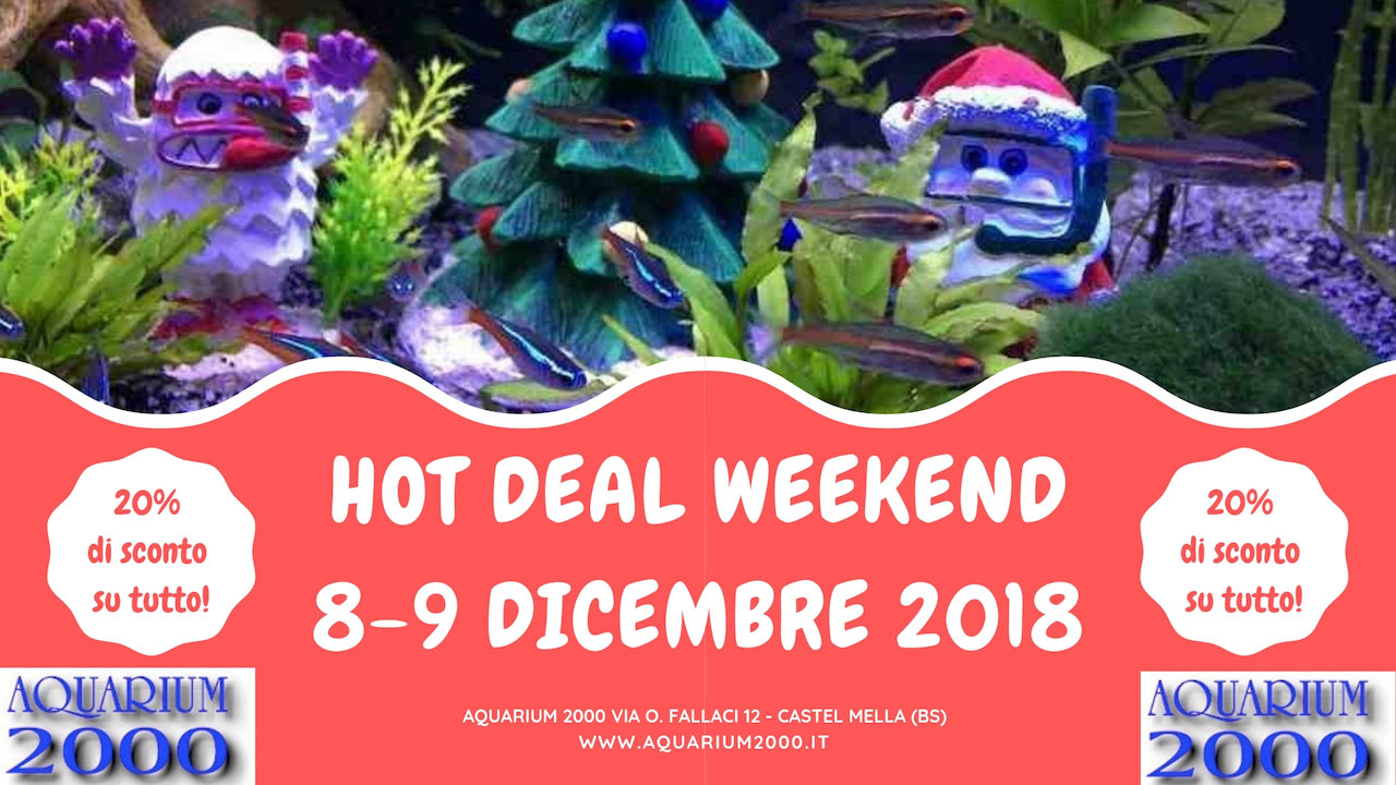 Hot-deal-weekend