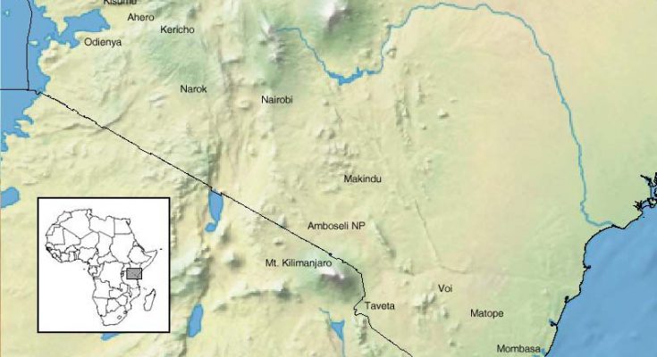 killifish-mappa