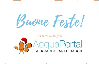 buone feste da acquaportal