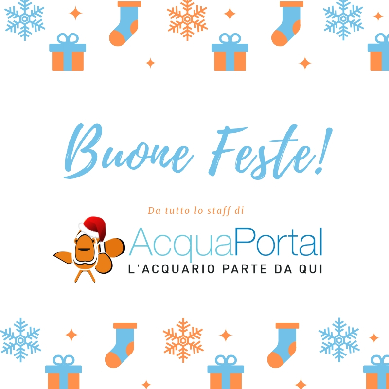 buone feste da acquaportal