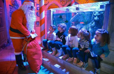 natale al sea life aquarium