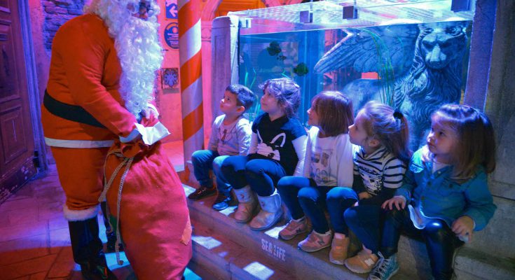 natale al sea life aquarium
