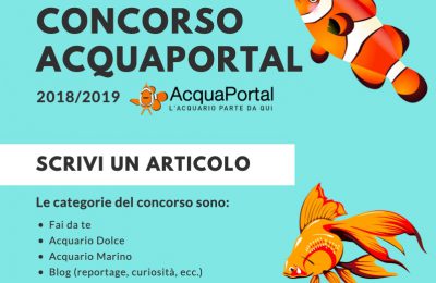 partecipare al concorso di acquaportal