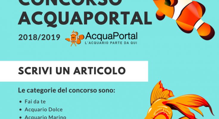 partecipare al concorso di acquaportal