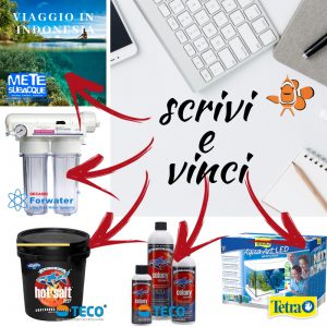 Scrivi & Vinci - Concorso AP 2018/2019