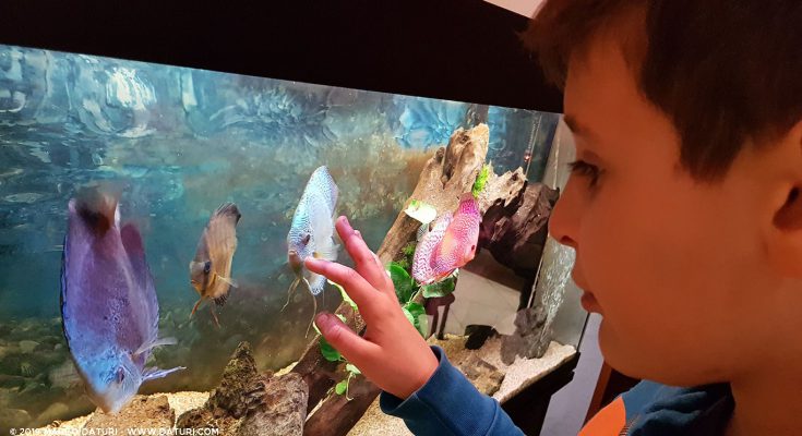 acquario bambini