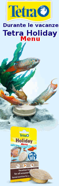 Tetra holiday menu 