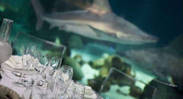 san valentino acquario di genova