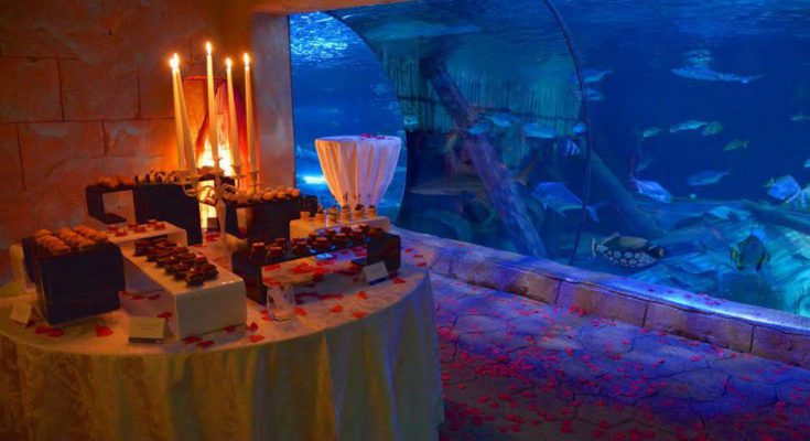 gardaland sea life aquarium san valentino