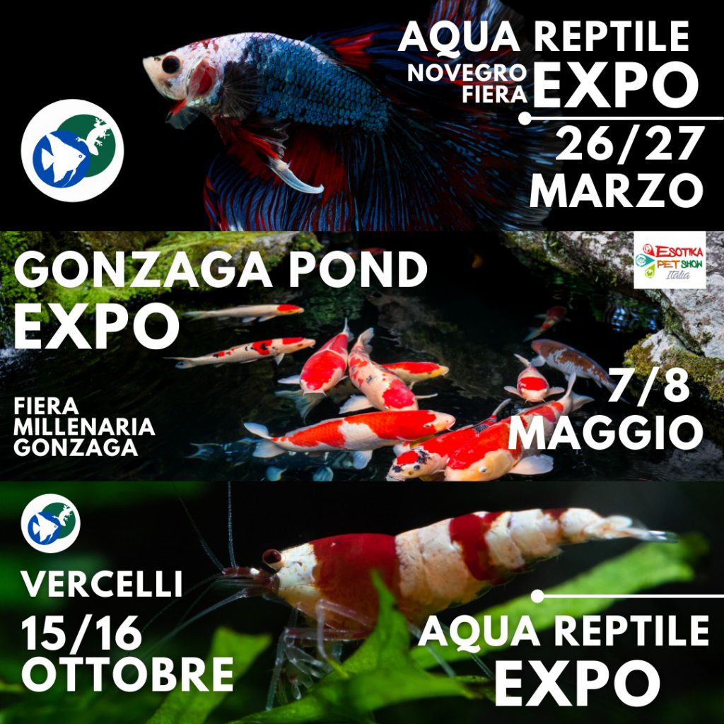 aquaexpo